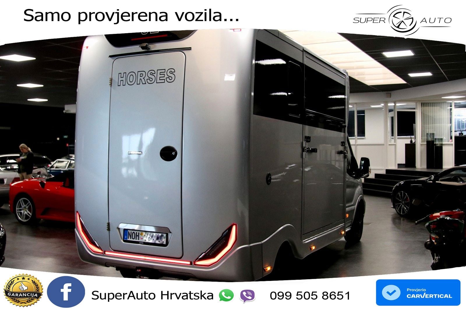 Ford Transit 350 L3 JL Exklusive Pferdetransport 2025 170 KS