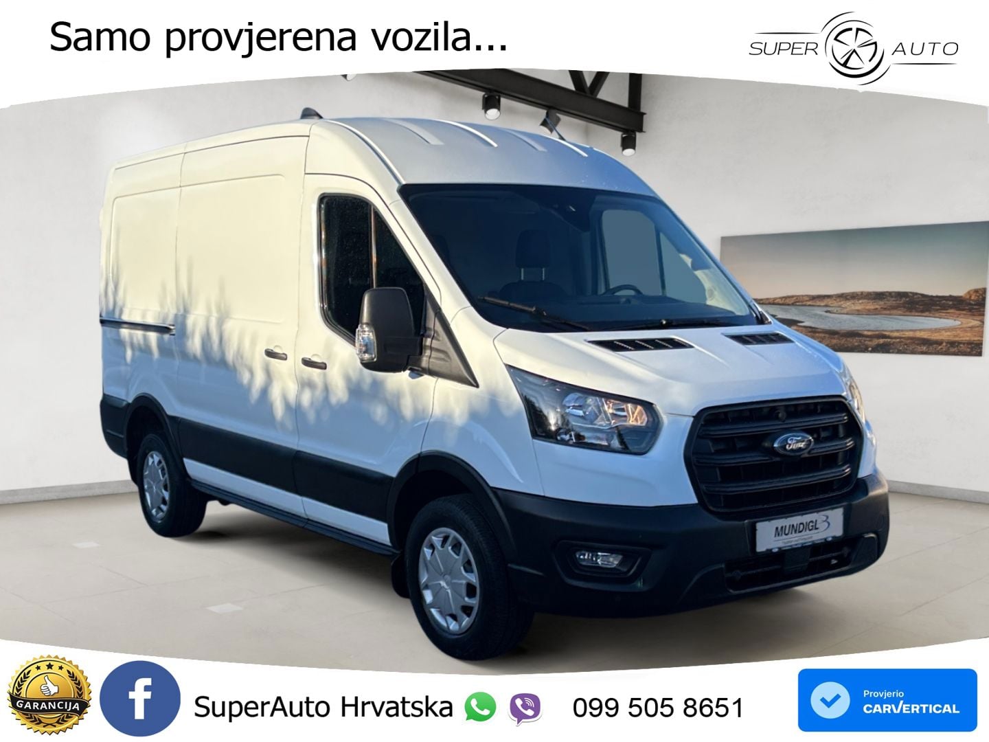 Ford Transit Trend 350 L2H2 Klima RFK AHK STHZ FSH FS 170 KS