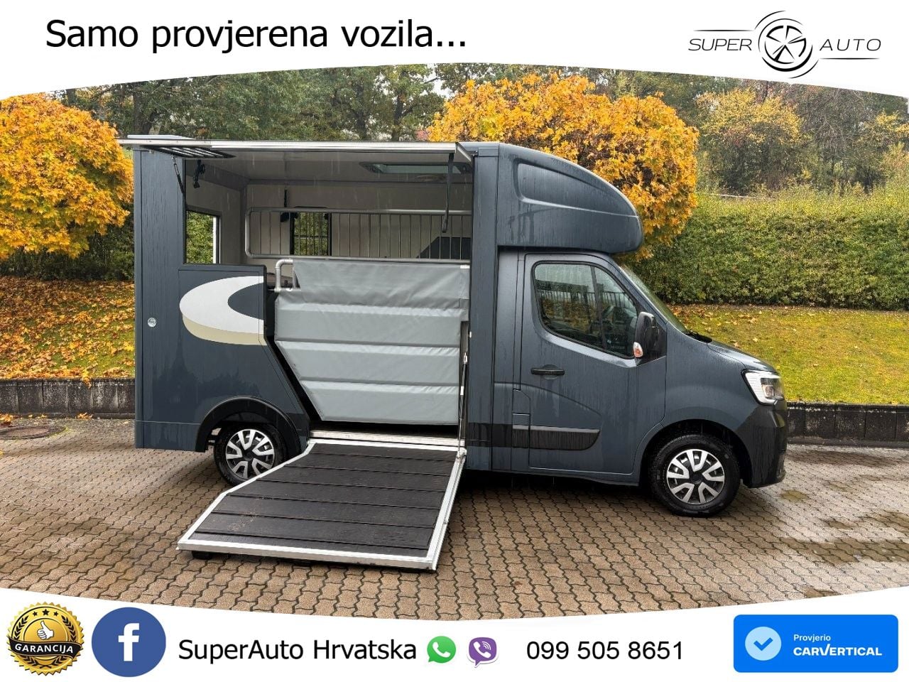 Renault Master MSG, 2 Pferde, Hengstvariante, leicht 145 KS