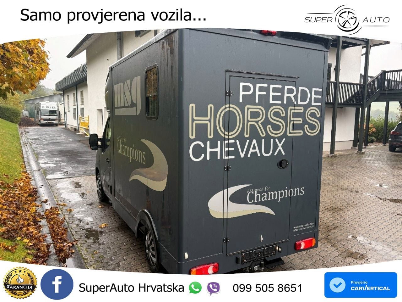 Renault Master MSG, 2 Pferde, Hengstvariante, leicht 145 KS